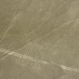 Nazca - Dog